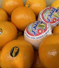Naranja extra «TORRES»
