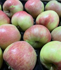 Manzana elstar (del país)
