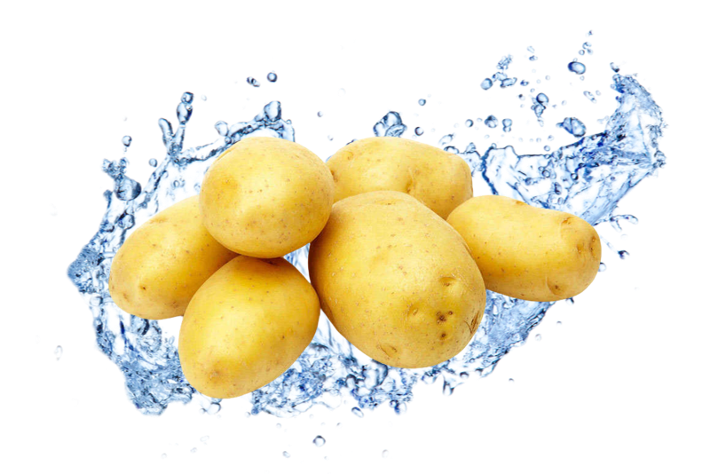 Patata lavada (Precio por kg)