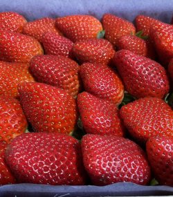 Fresón Extra (Huelva) Caja de 1kg
